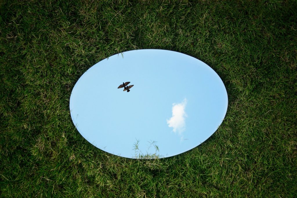 Ein Spiegel liegt im Gras und der Himmel und ein Vogel spiegeln sich darin