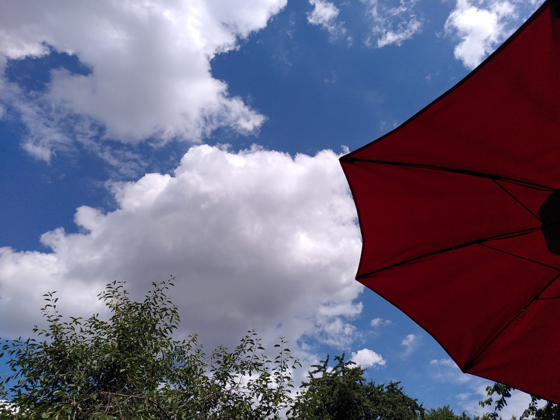 Ein Blick in den Himmel unter einem Sonnenschirm heraus