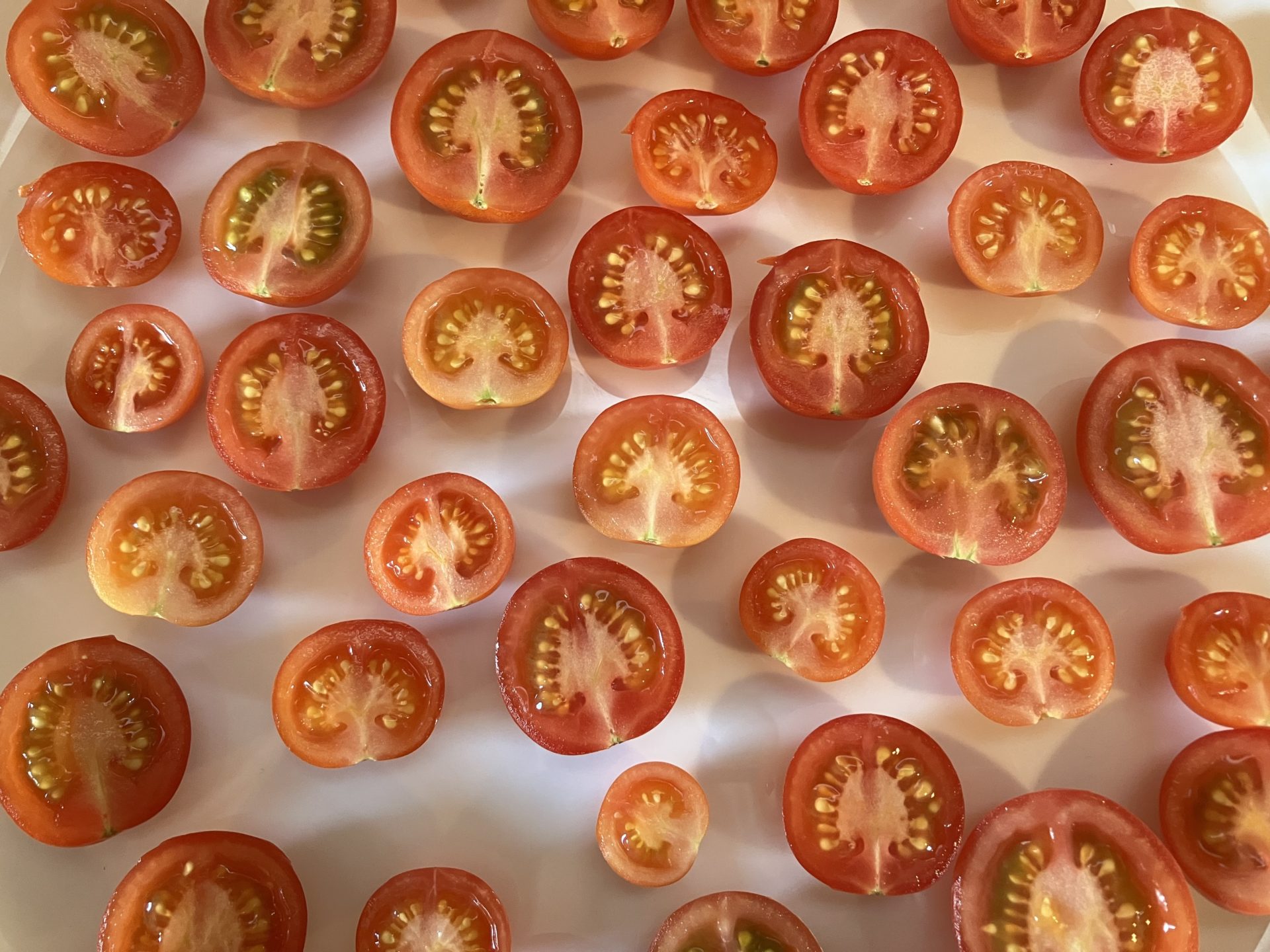 Tomatenwald